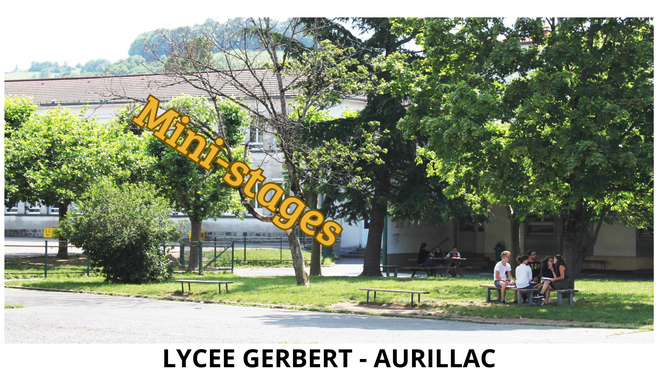 Mini-stage de janvier à Avril (1).png