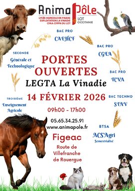 Affiche JPO 2026 (2)_page-0001.jpg